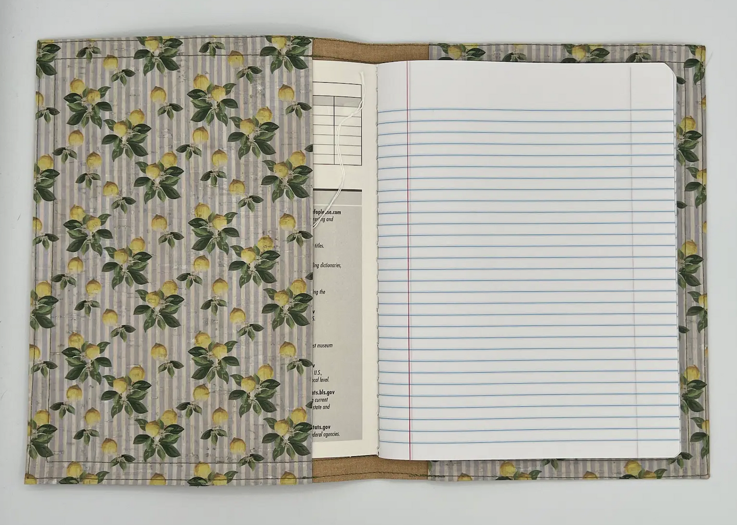 Portfolio Lemons